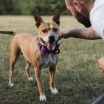 Bitten by a dog