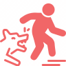 Dog Bites